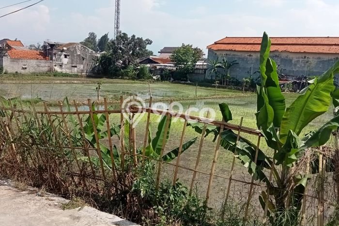 Lahan untuk Dijual di Cileunyi Bandung Luas 5000m2 Lahan untuk Dijual di Cileunyi Bandung Luas 5000m2