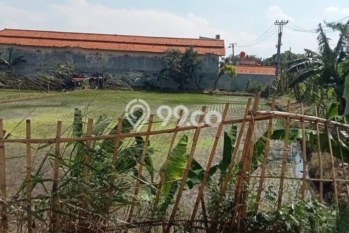 Lahan untuk Dijual di Cileunyi Bandung Luas 5000m2 Lahan untuk Dijual di Cileunyi Bandung Luas 5000m2