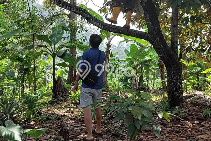 Tanah untuk Dijual di Cipatat Bandung Barat Luas 4416m2 Tanah untuk Dijual di Cipatat Bandung Barat Luas 4416m2