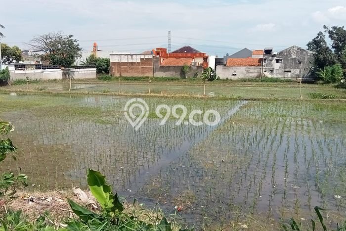 Kavling Tanah di Cileunyi Dijual Luas 5000m2 Legalitas SHM Kavling Tanah di Cileunyi Dijual Luas 5000m2 Legalitas SHM