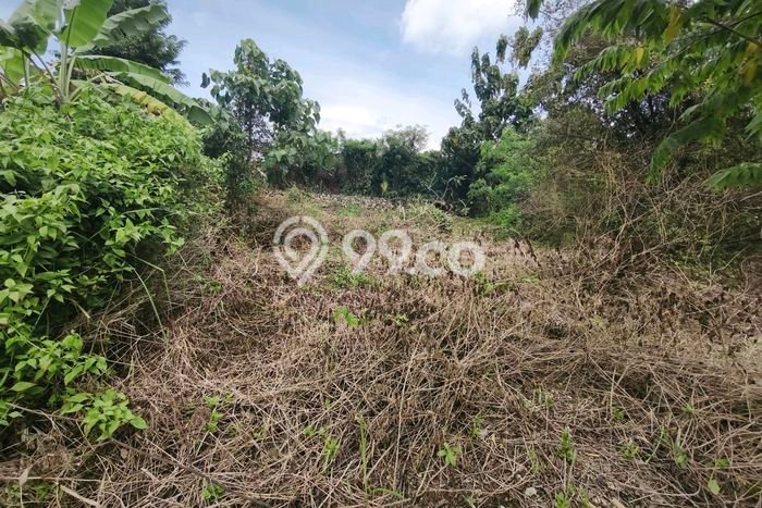 Tanah Dijual Lokasi Strategis di Badung dengan Luas 333m2 Tanah Dijual Lokasi Strategis di Badung dengan Luas 333m2