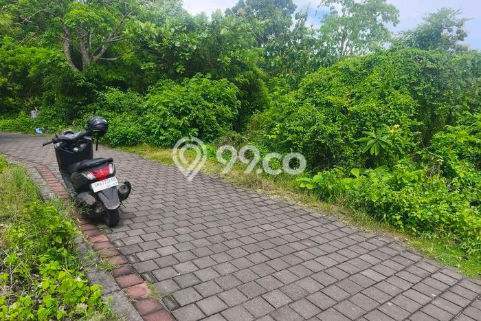 Kavling Tanah untuk Disewa di Ungasan Lahan Luas 500m2 Kavling Tanah untuk Disewa di Ungasan Lahan Luas 500m2