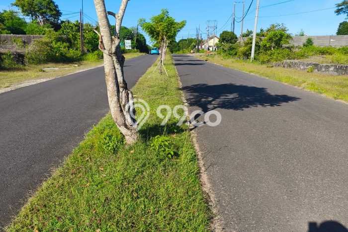 Lahan Dijual Lokasi Strategis di Badung dengan Luas 2510m2 Lahan Dijual Lokasi Strategis di Badung dengan Luas 2510m2