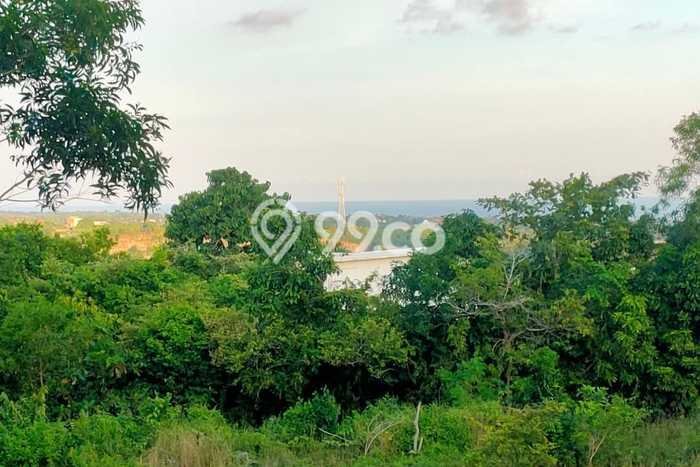 Kavling Tanah untuk Dijual di Ungasan, Badung, Luas 3200m2 Kavling Tanah untuk Dijual di Ungasan, Badung, Luas 3200m2