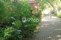 Tanah Investasi Dijual di Badung Punya Luas 500m2 Tanah Investasi Dijual di Badung Punya Luas 500m2
