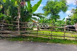 Dijual Tanah Lokasi Jimbaran, Badung Seluas 1000m2 Dijual Tanah Lokasi Jimbaran, Badung Seluas 1000m2