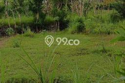 Tanah Dijual di Badung Seluas 500m2 Strategis Tanah Dijual di Badung Seluas 500m2 Strategis