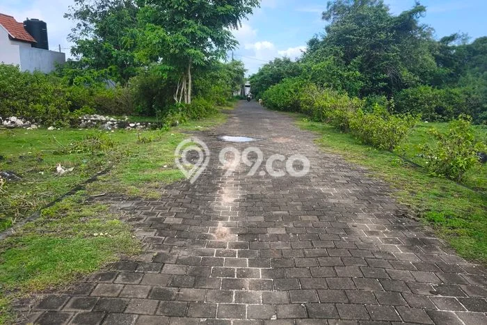 Tanah Dijual Area Strategis di Kutuh Badung 132m2 Tanah Dijual Area Strategis di Kutuh Badung 132m2