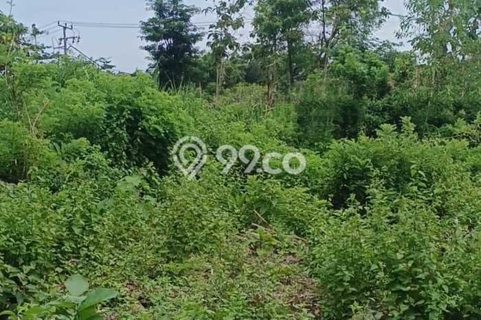 Tanah Disewa di Pecatu Strategis dan Memiliki Luas 31940m2 Tanah Disewa di Pecatu Strategis dan Memiliki Luas 31940m2