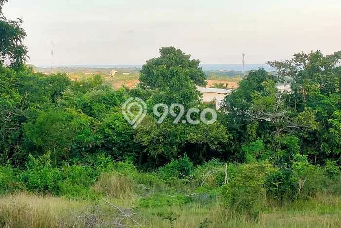 Kavling Tanah untuk Dijual di Ungasan, Badung, Luas 3200m2 Kavling Tanah untuk Dijual di Ungasan, Badung, Luas 3200m2