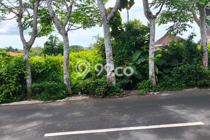 Tanah Dijual Area Strategis di Ungasan Badung 850m2 Tanah Dijual Area Strategis di Ungasan Badung 850m2