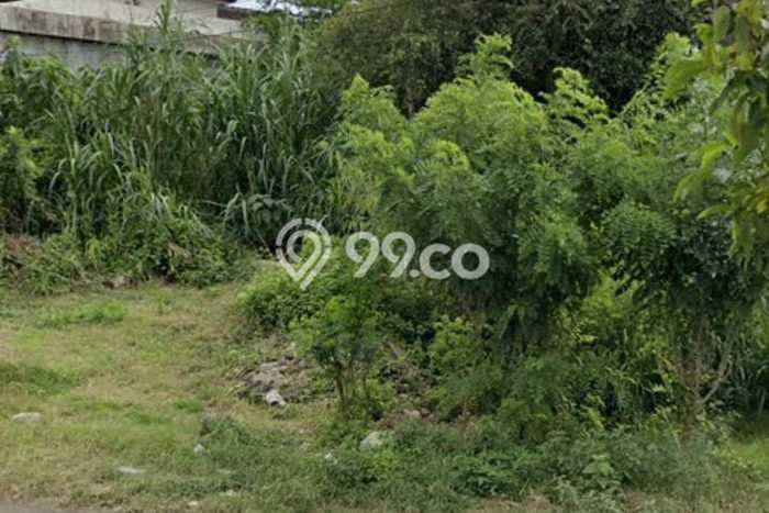 Jarang Ada! Tanah Kavling Disewakan di Badung 1200m2 Jarang Ada! Tanah Kavling Disewakan di Badung 1200m2
