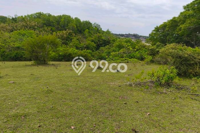 Tanah Dijual di Badung Seluas 4480m2 Strategis Tanah Dijual di Badung Seluas 4480m2 Strategis