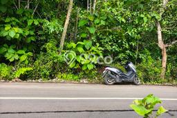 Tanah Kavling Dijual di Badung dengan Spesifikasi 2393m2 Tanah Kavling Dijual di Badung dengan Spesifikasi 2393m2