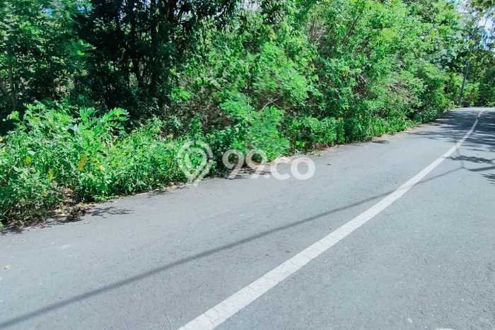 Tanah Dijual di Badung Seluas 10000m2 Strategis Tanah Dijual di Badung Seluas 10000m2 Strategis