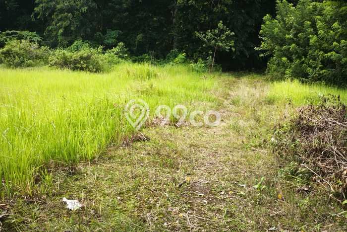 Dijual Tanah Lokasi Kutuh, Badung Seluas 9700m2 Dijual Tanah Lokasi Kutuh, Badung Seluas 9700m2
