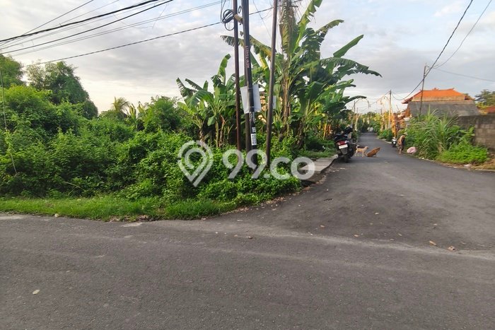 Tanah Kavling Dijual di Jimbaran, Badung dengan Luas Tanah 1231m2 Tanah Kavling Dijual di Jimbaran, Badung dengan Luas Tanah 1231m2