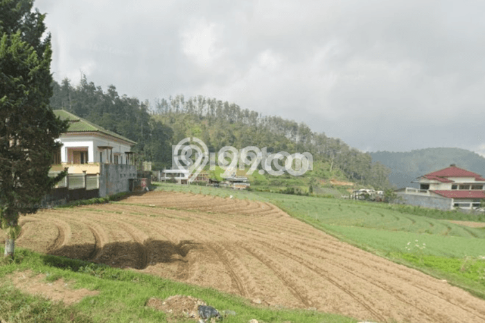 Dijual Tanah di Tawangmangu Solo Luas 5213m2 SHM Dijual Tanah di Tawangmangu Solo Luas 5213m2 SHM