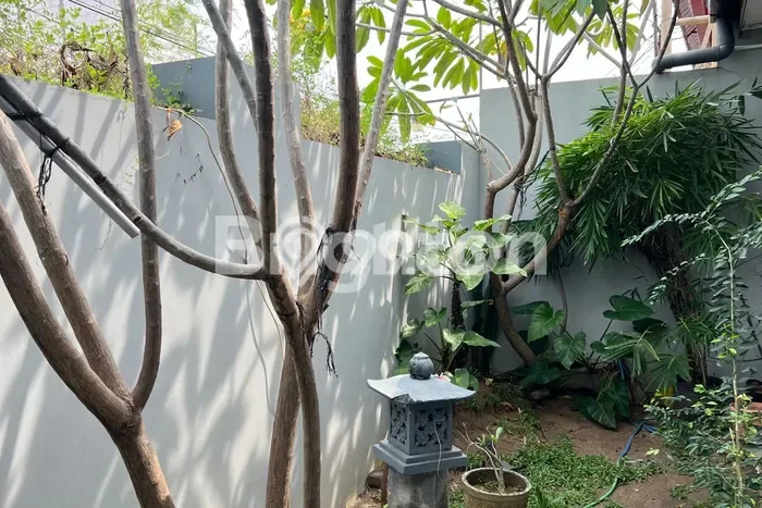 Rumah Luas Asri 5 KT Siap Pakai di Solo Baru Surakarta Rumah Luas Asri 5 KT Siap Pakai di Solo Baru Surakarta