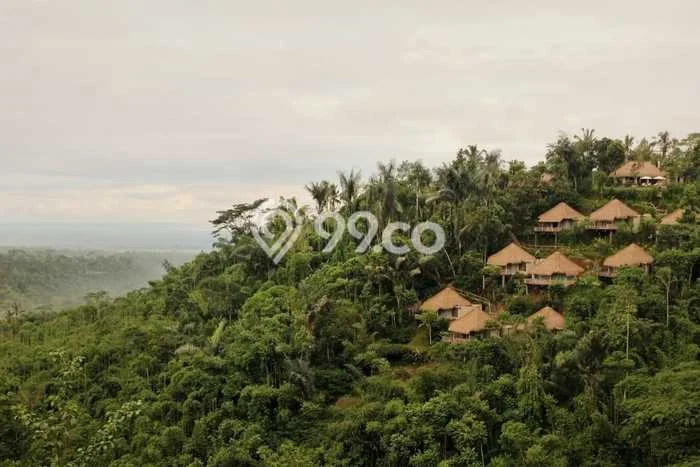 Jual Hotel Area Komersial di Ubud, Luas 600m2m², Jalan Utama Jual Hotel Area Komersial di Ubud, Luas 600m2m², Jalan Utama