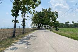 Tanah di Sragen, Sragen Luas 100000m2 Dijual Segera Tanah di Sragen, Sragen Luas 100000m2 Dijual Segera