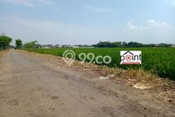 Lahan Investasi Lokasi Sukoharjo Sukoharjo SHM Lahan Investasi Lokasi Sukoharjo Sukoharjo SHM