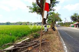 Tanah Kosong Dijual di Sukoharjo dengan Area 1925m2 Tanah Kosong Dijual di Sukoharjo dengan Area 1925m2