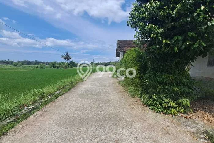 Jual Tanah Lokasi Strategis Kawasan Kretek, Luas 663m2m², Dekat Kretek, Bantul, Bantul Jual Tanah Lokasi Strategis Kawasan Kretek, Luas 663m2m², Dekat Kretek, Bantul, Bantul