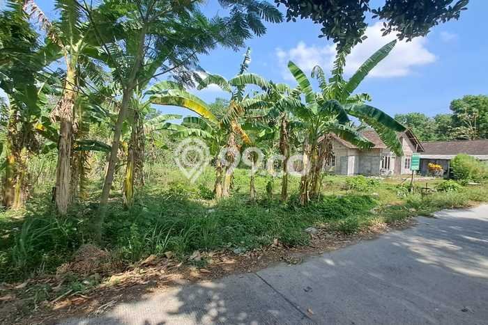 Jarang Ada! Tanah di Berbah Punya Luas 502m2 SHM Jarang Ada! Tanah di Berbah Punya Luas 502m2 SHM