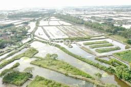 Kavling Tanah di Pontang Dijual Luas 8227m2 Legalitas SHM Kavling Tanah di Pontang Dijual Luas 8227m2 Legalitas SHM