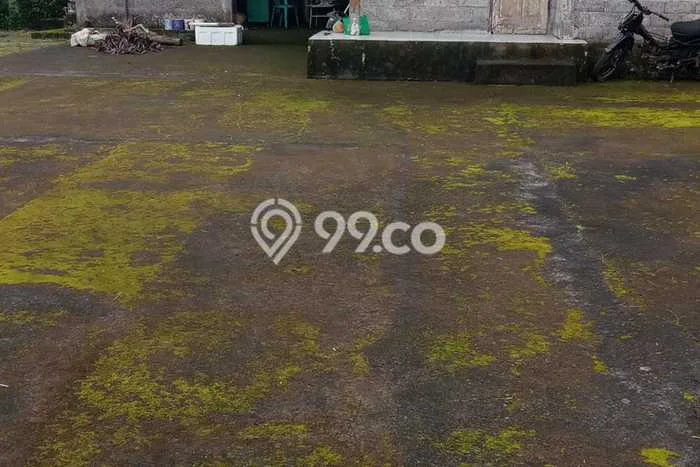 Lahan Dijual Lokasi Strategis di Buleleng dengan Luas 38500m2 Lahan Dijual Lokasi Strategis di Buleleng dengan Luas 38500m2