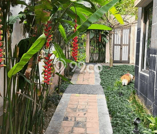 For Sale Rumah Elit Exclusive di Megamendung, Bogor For Sale Rumah Elit Exclusive di Megamendung, Bogor