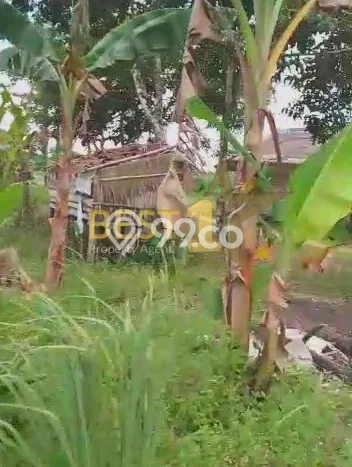 Tanah untuk Dijual Lokasi Pontianak Kota, Pontianak Luas 136935m2 SHM Tanah untuk Dijual Lokasi Pontianak Kota, Pontianak Luas 136935m2 SHM