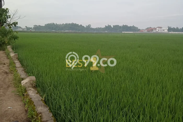 Tanah untuk Dijual Lokasi Ciparay, Bandung Luas 2525m2 SHM Tanah untuk Dijual Lokasi Ciparay, Bandung Luas 2525m2 SHM