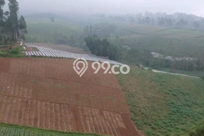Lahan Kosong Dijual di Pangalengan, Bandung, Luas 60000m2 Area Strategis Lahan Kosong Dijual di Pangalengan, Bandung, Luas 60000m2 Area Strategis