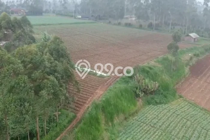 Lahan Kosong Dijual di Pangalengan, Bandung, Luas 60000m2 Area Strategis Lahan Kosong Dijual di Pangalengan, Bandung, Luas 60000m2 Area Strategis
