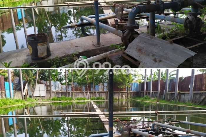 Gudang Favorit Dijual di Karawang Barat Karawang Kawasan Pusat Bisnis Gudang Favorit Dijual di Karawang Barat Karawang Kawasan Pusat Bisnis