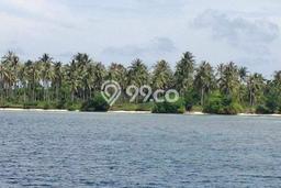 Lahan untuk Dijual Lokasi Karimunjawa, Jepara Luas 445545m2 SHM Lahan untuk Dijual Lokasi Karimunjawa, Jepara Luas 445545m2 SHM