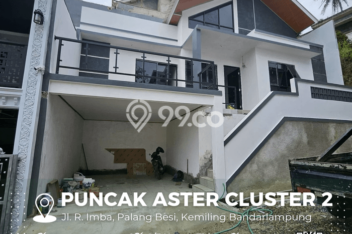 PUNCAK ASTER PUNCAK ASTER