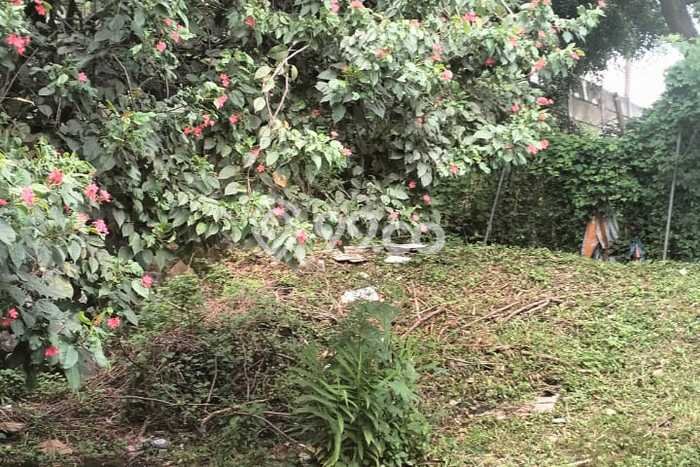 Tanah Siap Bangun Dijual di Tangerang Selatan Punya Luas 124m2 Tanah Siap Bangun Dijual di Tangerang Selatan Punya Luas 124m2