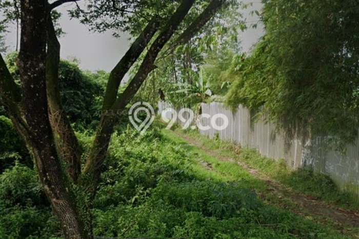 Tanah Komersial Dijual di Rangkasbitung Lebak 40000m2 Tanah Komersial Dijual di Rangkasbitung Lebak 40000m2