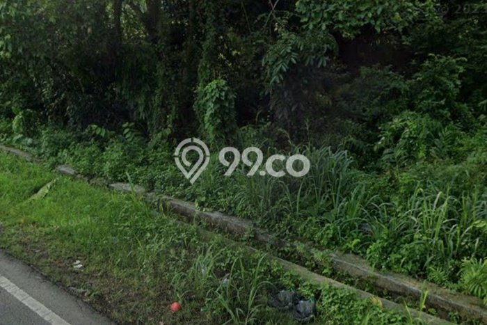 Tanah Komersial Dijual di Rangkasbitung Lebak 40000m2 Tanah Komersial Dijual di Rangkasbitung Lebak 40000m2