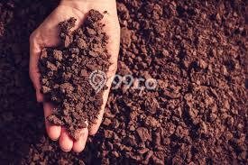 Lahan Kosong Dijual di Badung dengan Area 1077m2 Lahan Kosong Dijual di Badung dengan Area 1077m2