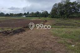 Lahan Dijual Lokasi Pamarayan, Serang dengan Luas Tanah 100000m2 dan Status SHM Lahan Dijual Lokasi Pamarayan, Serang dengan Luas Tanah 100000m2 dan Status SHM