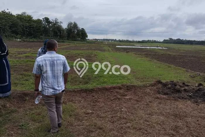 Lahan Dijual Lokasi Pamarayan, Serang dengan Luas Tanah 100000m2 dan Status SHM Lahan Dijual Lokasi Pamarayan, Serang dengan Luas Tanah 100000m2 dan Status SHM