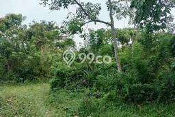 Tanah Dijual Lokasi Panimbang, Pandeglang Luas 47300m2 Legalitas Aman Tanah Dijual Lokasi Panimbang, Pandeglang Luas 47300m2 Legalitas Aman