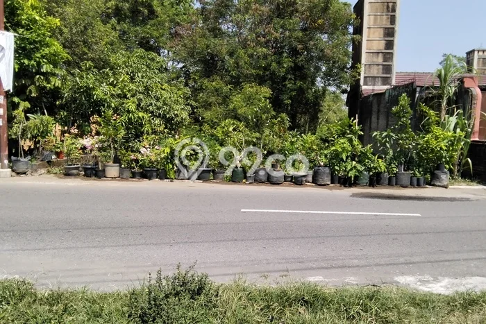 Tanah Dijual Lokasi Piyungan, Bantul dengan Luas Tanah 418m2 dan Status SHM Tanah Dijual Lokasi Piyungan, Bantul dengan Luas Tanah 418m2 dan Status SHM