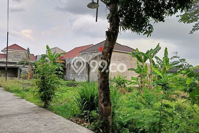 Tanah di Klaten Utara, Klaten Luas 200m2 Dijual Segera Tanah di Klaten Utara, Klaten Luas 200m2 Dijual Segera