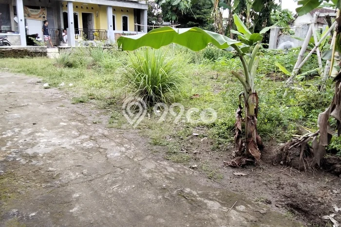 Tanah Komersial Dijual di Klaten Utara Klaten 199m2 Tanah Komersial Dijual di Klaten Utara Klaten 199m2