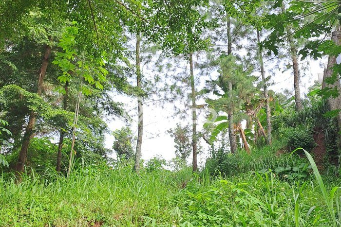 Tanah Investasi Dijual di Bandung Punya Luas 155m2 Tanah Investasi Dijual di Bandung Punya Luas 155m2